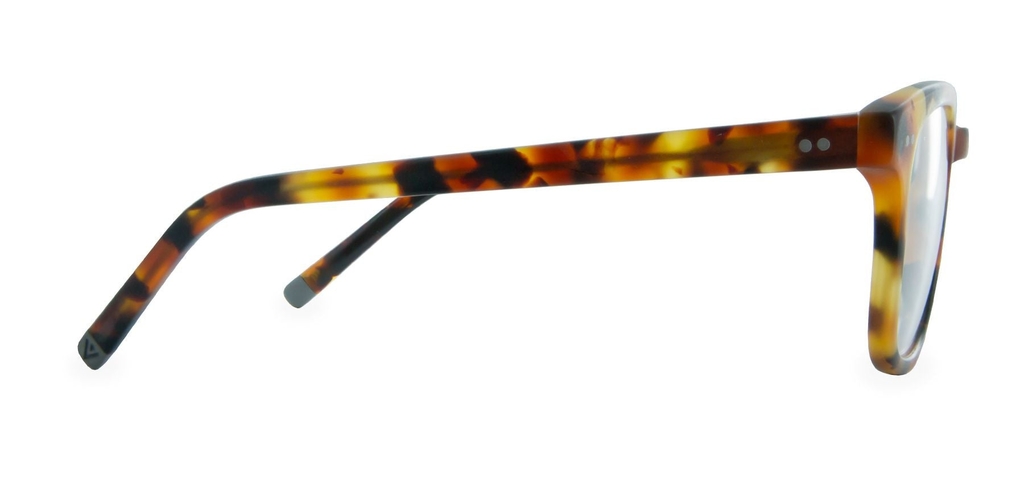 Connolly_Caramel_Tortoise_Side