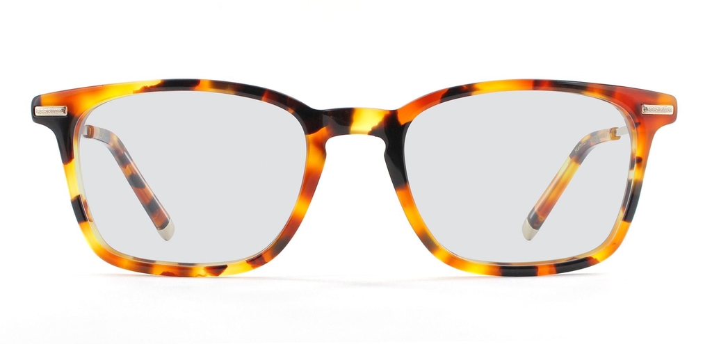 Hamilton_CaramelTortoise_Front