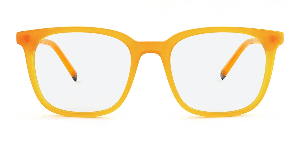 Stewart_Honey_Optical_Front