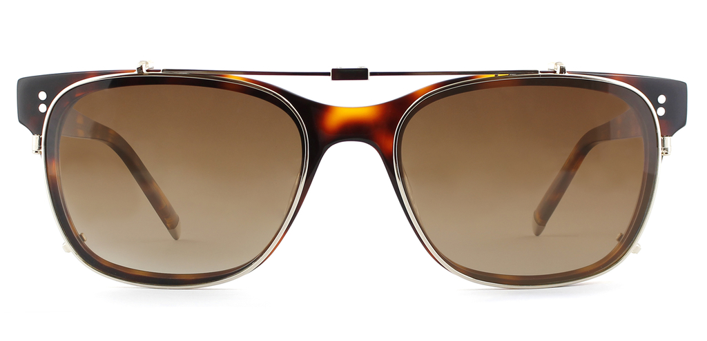 Bruce folding clip on frame