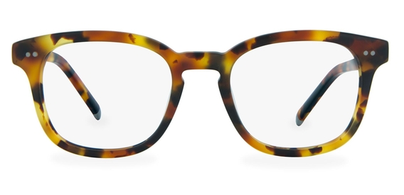 Connolly_Caramel_Tortoise_Front