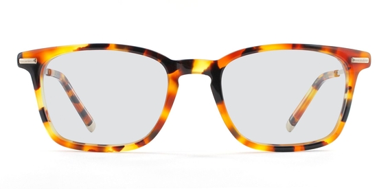 Hamilton_CaramelTortoise_Front