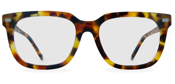 Inglis_Caramel_Tortoise_Front