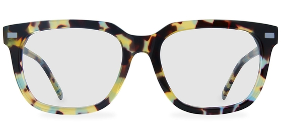 Inglis_Walnut_Tortoise_Front