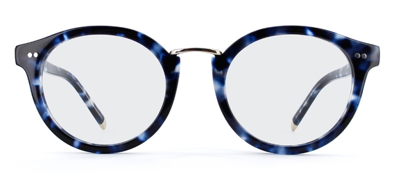 Murray_Blue_Tortoise_Front_Optical