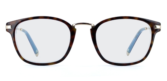 Napier_Havana_Light_Blue_Layer_Front