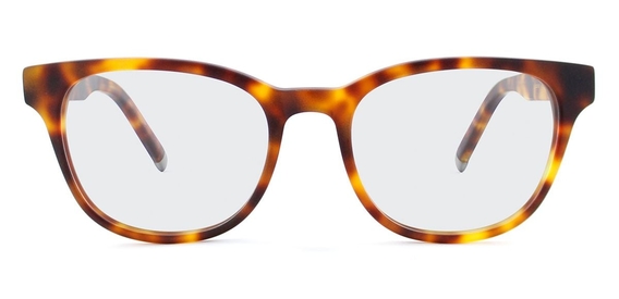 Paterson_Front_Optical