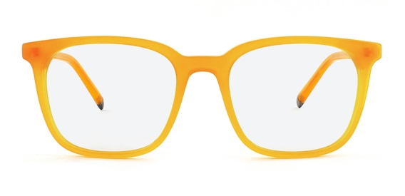 Stewart_Honey_Optical_Front