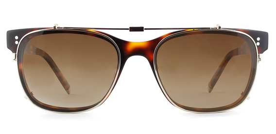 Bruce folding clip on frame