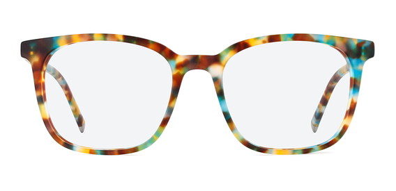 Stewart glasses in Matte Ocean Tortoise