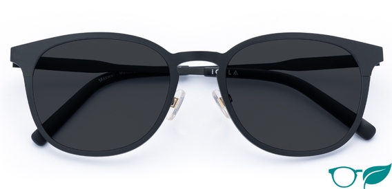 Maxwell – Sleek Metal Sunglasses | IOLLA