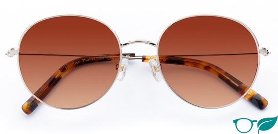 Robertson – Bold Retro Sunglasses | IOLLA