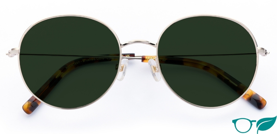 Robertson – Bold Retro Sunglasses | IOLLA
