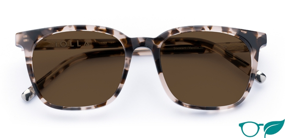 Stewart in Vanilla Tortoise – Elegant Everyday Sunglasses | IOLLA