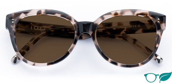 Swinton in Vanilla Tortoise – Classic Cat-Eye Sunglasses | IOLLA