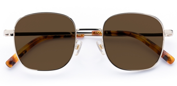 Taylor in Chrome Gold – Sleek Metal Sunglasses | IOLLA