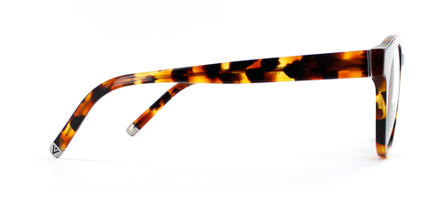 Somerville Caramel Tortoise