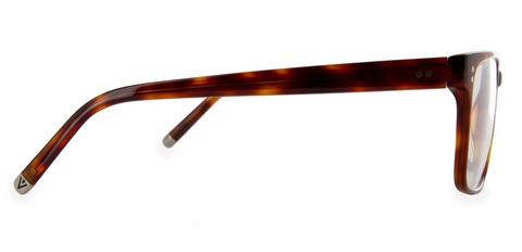 BurnsHavanaSide