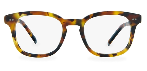 Connolly_Caramel_Tortoise_Front
