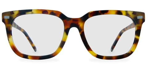 Inglis_Caramel_Tortoise_Front