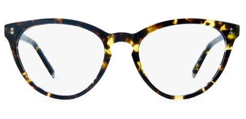 MuirClassicTortoise