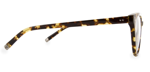 MuirClassicTortoise