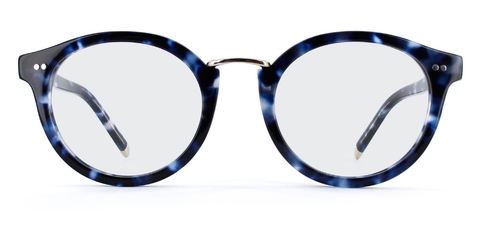Murray_Blue_Tortoise_Front_Optical