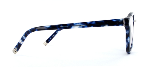 Murray_Blue_Tortoise_Side_Optical