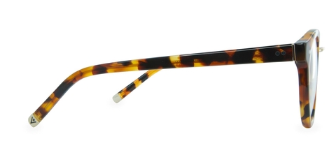 Murray_Caramel_Tortoise_Side