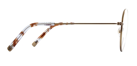 Robertson-MatteBronze-Side-Optical