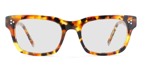 Spark_CaramelTortoise_Front