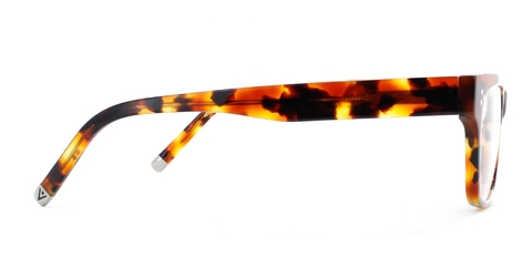 Spark_CaramelTortoise_Optical_Side