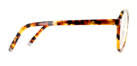 Nicol in CaramelTortoise