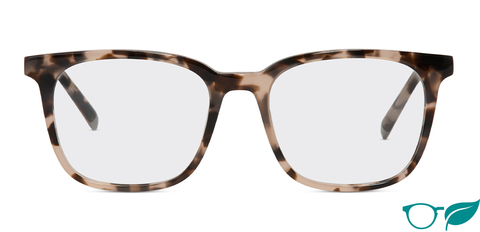 Stewart_VanillaTortoise_Front_Glasses_forweb_eco