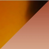 Caramel Tortoise with Sienna Sunset